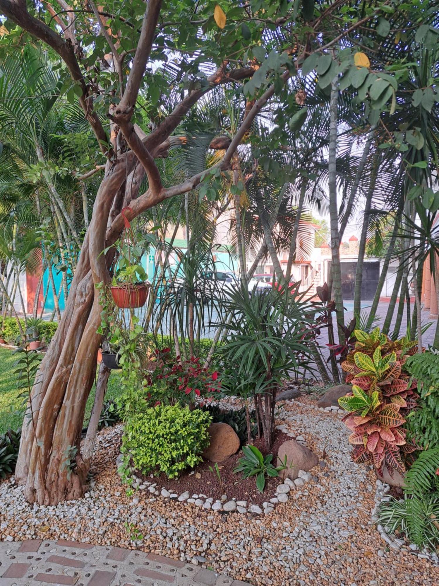 Hotel Quinta Paraiso โกโกย็อก ภายนอก รูปภาพ